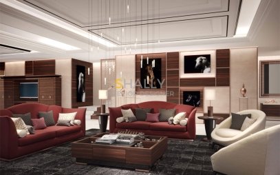 Drawing room interior design